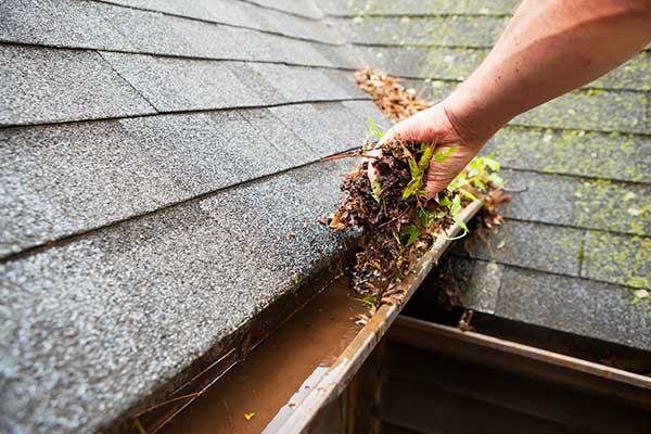 Gutter Installation Services